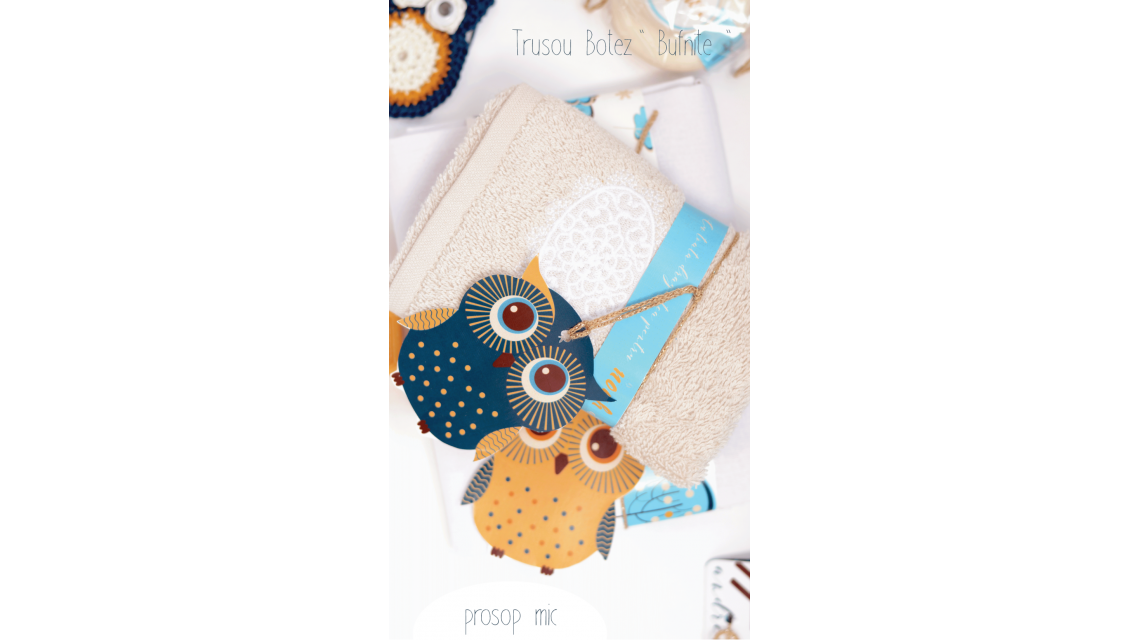 Trusou de botez cu broderie personalizata pentru baieti, Owl Baby Boy 8